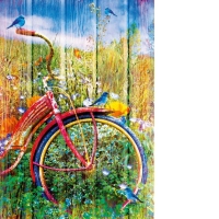 Puzzle - Bluebirds on a Bicycle, 1000 piese (70300-P)