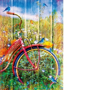 Puzzle - Bluebirds on a Bicycle, 1000 piese (70300-P)