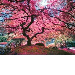 Puzzle Pink Tree, 1000 piese (1037)