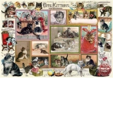 Puzzle Barbara Behr: Cute Kittens & Comical Dogs, 2x500 piese (P3611)