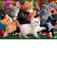 Puzzle Marthy H. Segelbaum: Kittens at Play, 260 piese (3327)