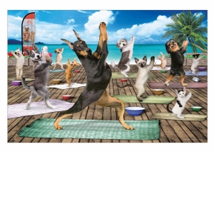 Puzzle Yoga Spa, 500 piese XXL (6500-5454)