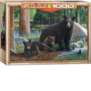 Puzzle New Discoveries, 1000 piese (6000-0793)