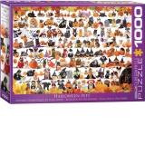 Puzzle Halloween Puppies and Kittens, 1000 piese (6000-5416)