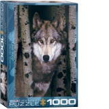 Puzzle Gray Wolf, 1000 piese (6000-1244)