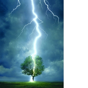 Puzzle Lightning striking a tree, 1000 piese (6000-4570)