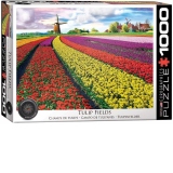 Puzzle Tulip Fields Netherlands, 1000 piese (6000-5326)