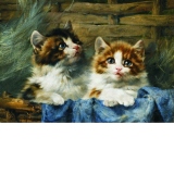 Puzzle Julius Adam: Two Kittens in a Basket, 500 piese (60683)