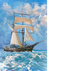 Puzzle Sailboat in the Ocean, 500 piese (61475)