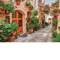 Puzzle A Street in Italy, 1000 piese (61574)