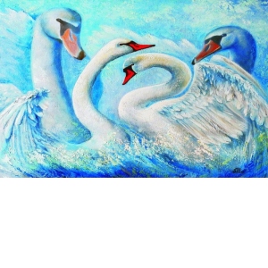 Puzzle Swans, 1000 piese (61222)