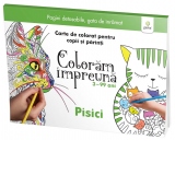 Coloram impreuna: Pisici. Carte de colorat pentru copii si parinti, 3-99 ani