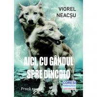 Aici, cu gandul spre dincolo. Proza scurta