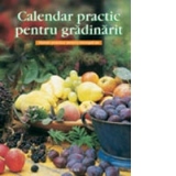 Calendar practic pentru gradinarit - sfaturi practice pentru intregul an