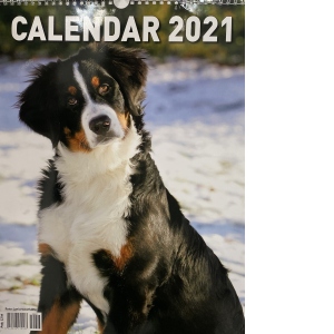 Calendar de perete 2021, format mare, spiralat, 12 file: Caini