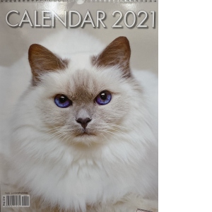 Calendar de perete 2021, format mare, spiralat, 12 file: Pisici