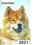 Calendar perete 2021, Caini (format A4)