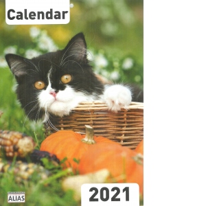 Calendar perete 2021, Pisici (format A4)