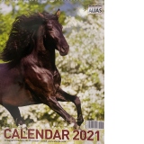 Calendar de perete 2021, format mare, spiralat, 12 file: Cai