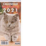 Calendar magnetic 2021, pisici