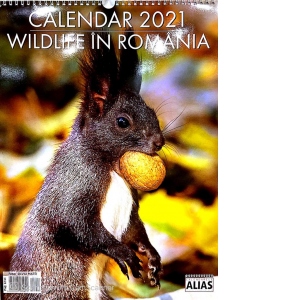Calendar Wildlife in Romania 12 file 2021