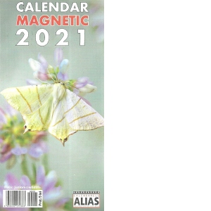 Calendar magnetic fluturi 2021