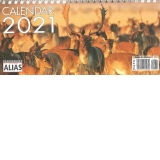 Calendar birou imagini Wildlife 2021