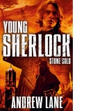 Young Sherlock Holmes: Stone Cold