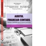 Auditul financiar-contabil. Demers metodologic si cazuri practice