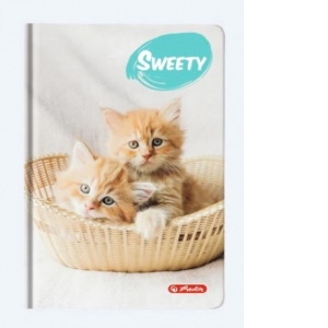 Agenda A6 nedatata Sweety Motiv Kittens 352 file