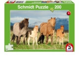 Puzzle 200 piese - Familie de cai
