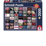 Puzzle 2000 piese - Salut Floral