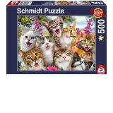 Puzzle 500 piese - Selfie de pisica