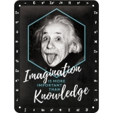 Placa metalica 15x20 Einstein - Imagination & Knowledge