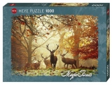 Puzzle 1000 piese Stags