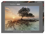 Puzzle 1000 piese Red Mangrove