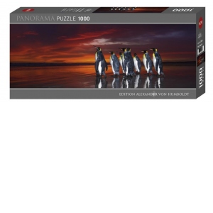 Puzzle panoramic 1000 piese King Penguins