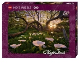 Puzzle 1000 piese Calla Clearing