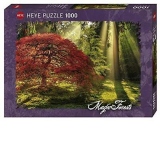 Puzzle 1000 piese Magic Forests