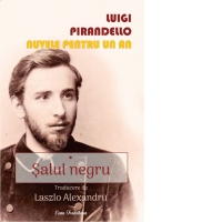 Nuvele pentru un an. Salul negru. Volumul I