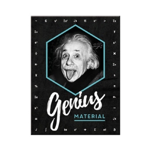 Magnet Einstein - Genius