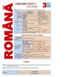 Pliant Romana 3 - Sintaxa 1