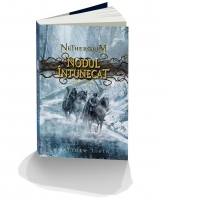 Nethergrim. Nodul intunecat - cartea a treia