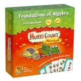 HurriCount Mathitude. Foundation of Algebra