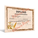 Diploma pentru cel mai bun invatator