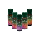 Pachet 5 uleiuri aromaterapie parfumate Office, Aroma Land, 10 ml