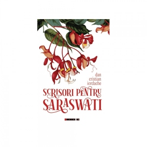Scrisori pentru Saraswati