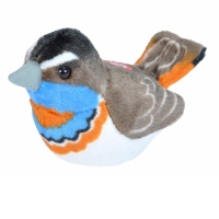 Pasare cu sunet Privighetoare Gusa Vanata - BLUETHROAT