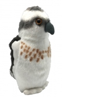 Pasare cu sunet Vultur Pescar - OSPREY