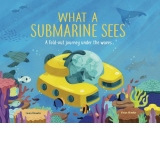 What a Submarine Sees : A fold-out journey under the waves